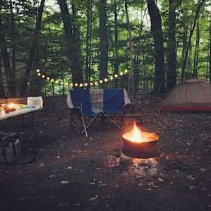 Thornhill Bluff