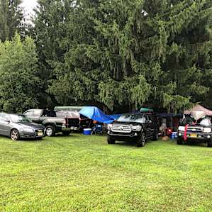 Basecamp under some pine trees