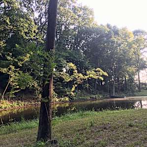 View from the campsite. Really gorgeous!