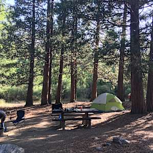 South Fork Family Campground