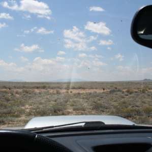 Driving out toward the road