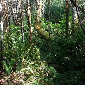 Hiking around the farm