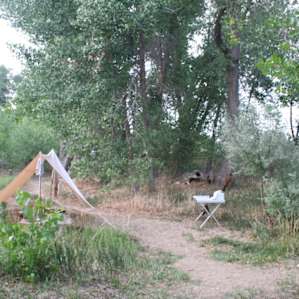 View of the site/common area from the river