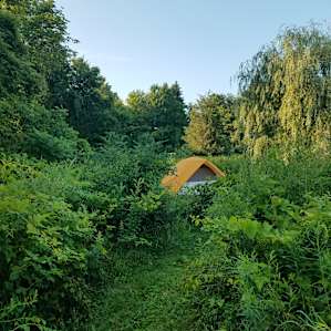 Camp