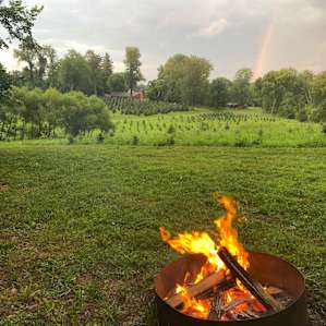 Beautiful view from campsite 6 after a light rain