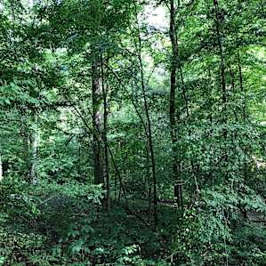 Glamping in the Smoky Mountains