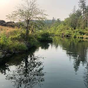 Swimming hole