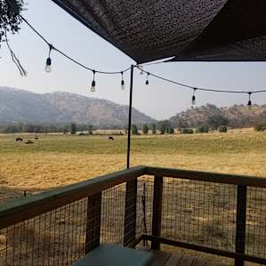 Secluded Cabin Not bookable ATM