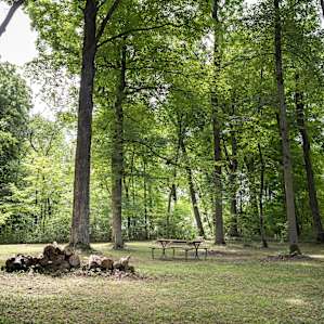 The upper site would be perfect for an RV or a few tents (or both).