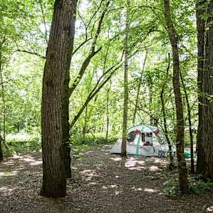 tent forest lodging
