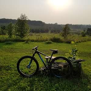 Bicycles & Botanicals-large site
