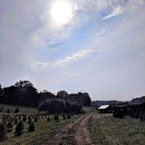 Walking to our site