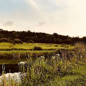 Pretty pond