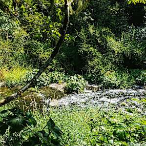 The soothing river flow you hear from the campsite .