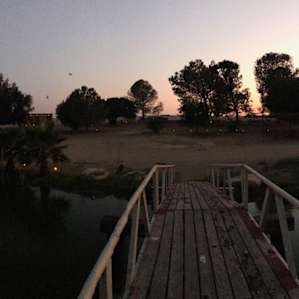 Beautiful nights fishing on the bridge