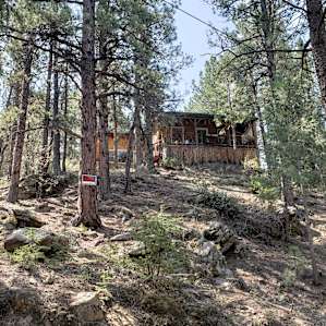 Looking up at our perfect little cabin