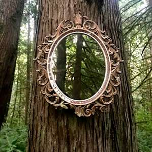 Cedar + Fern