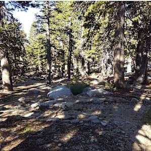 Woody Little Round Valley, lots of birds and squirrels.
trickle of water maybe 1.3 mi. to Deer Springs!