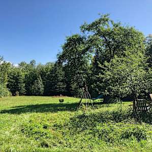 Willoughby Forest Orchard Cabin