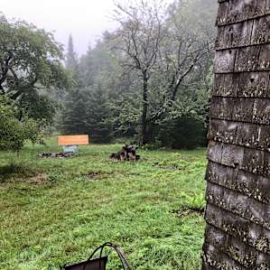 Willoughby Forest Orchard Cabin