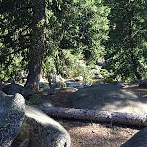 stream