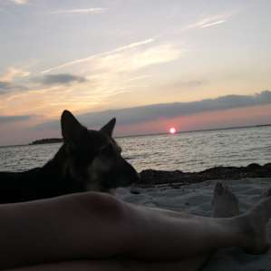 Go bayside for the sunset