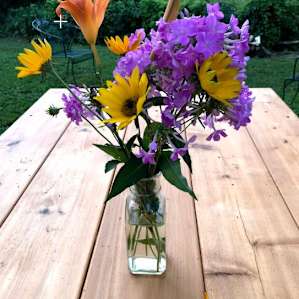 Bicycles & Botanicals-large site