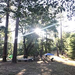Very spacious site with tons of shade.