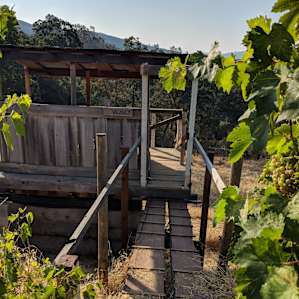 The Lookout