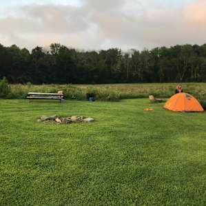 Meadow Land