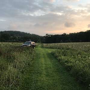 Meadow Land