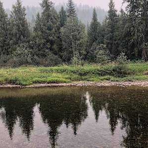 Iron Horse Forest River Cabin
