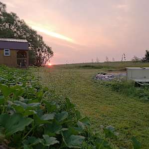 From food forest entrance on-looking the tiny house