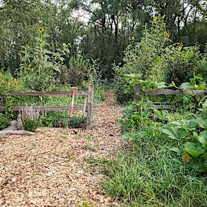 Food forest entrance