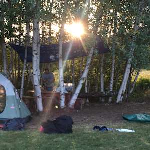 Sacred Nectar Sanctuary