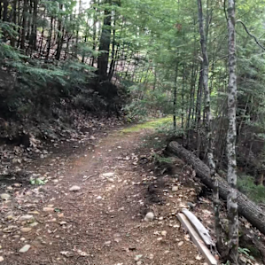 Little pathway to the full views of the waterfalls
