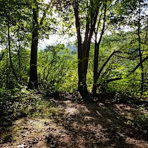 Dingmans Campground