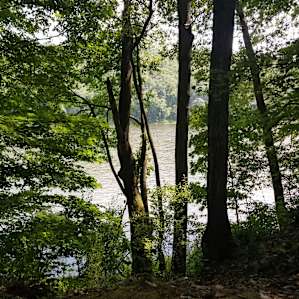 Dingmans Campground