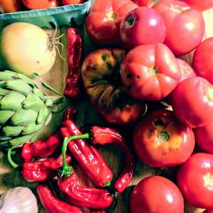 Some of the amazing veggies we went home with!