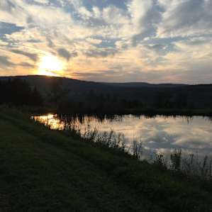 Hillside Pond with a View
