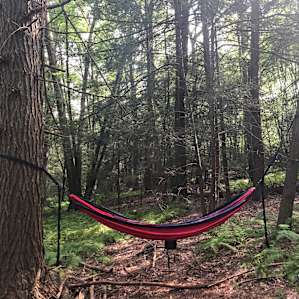 Hammock set up at the tent site (so many opportunities for hammocking!)