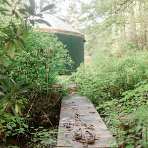 Charming little foot bridge across a stream in the backyard.