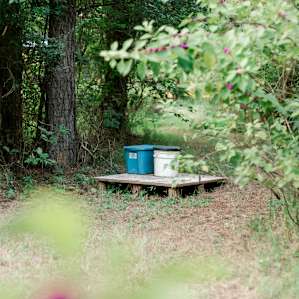Open air outhouse setup, tucked away into the trees.