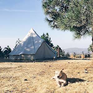 Secluded Vineyard Walk-In (Site 3)