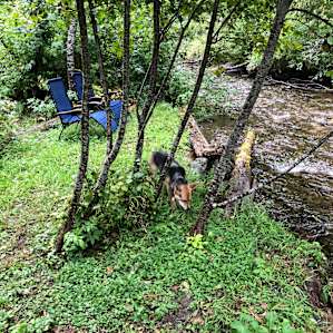 Rabbit O'brien Creekside Tent Site