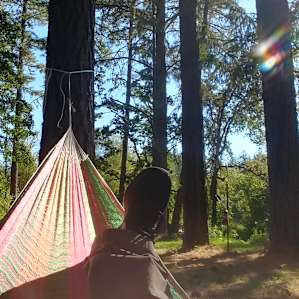 Set up camp and took a beat to bask in the quiet peacefulness of the forest on their provided hammock they had set up.