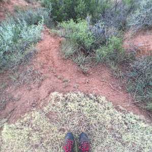 Honea Flat Campground
