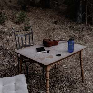 forest amenity table