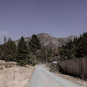 forest mountain