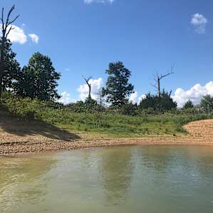 Fresh Life on Beaver Lake